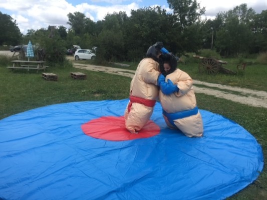 bataille de sumos bataille de sumos